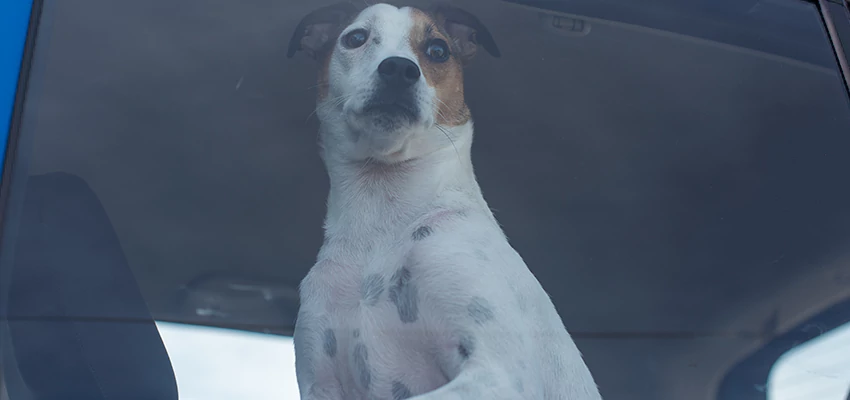 Car Lockout Solutions in Contra Costa Centre, California